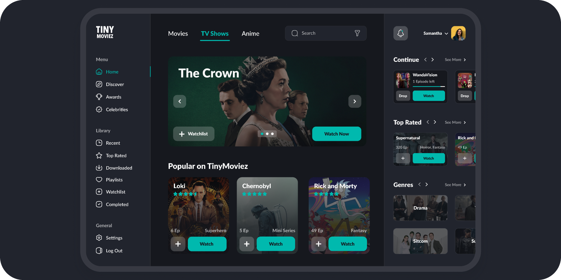 Cataz Streaming Interface